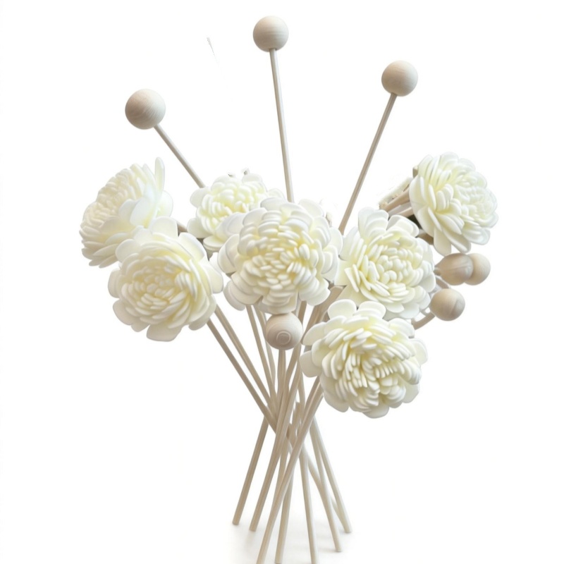 Reed Diffuser Set - Lot de 10 bâtonnets diffuseurs de