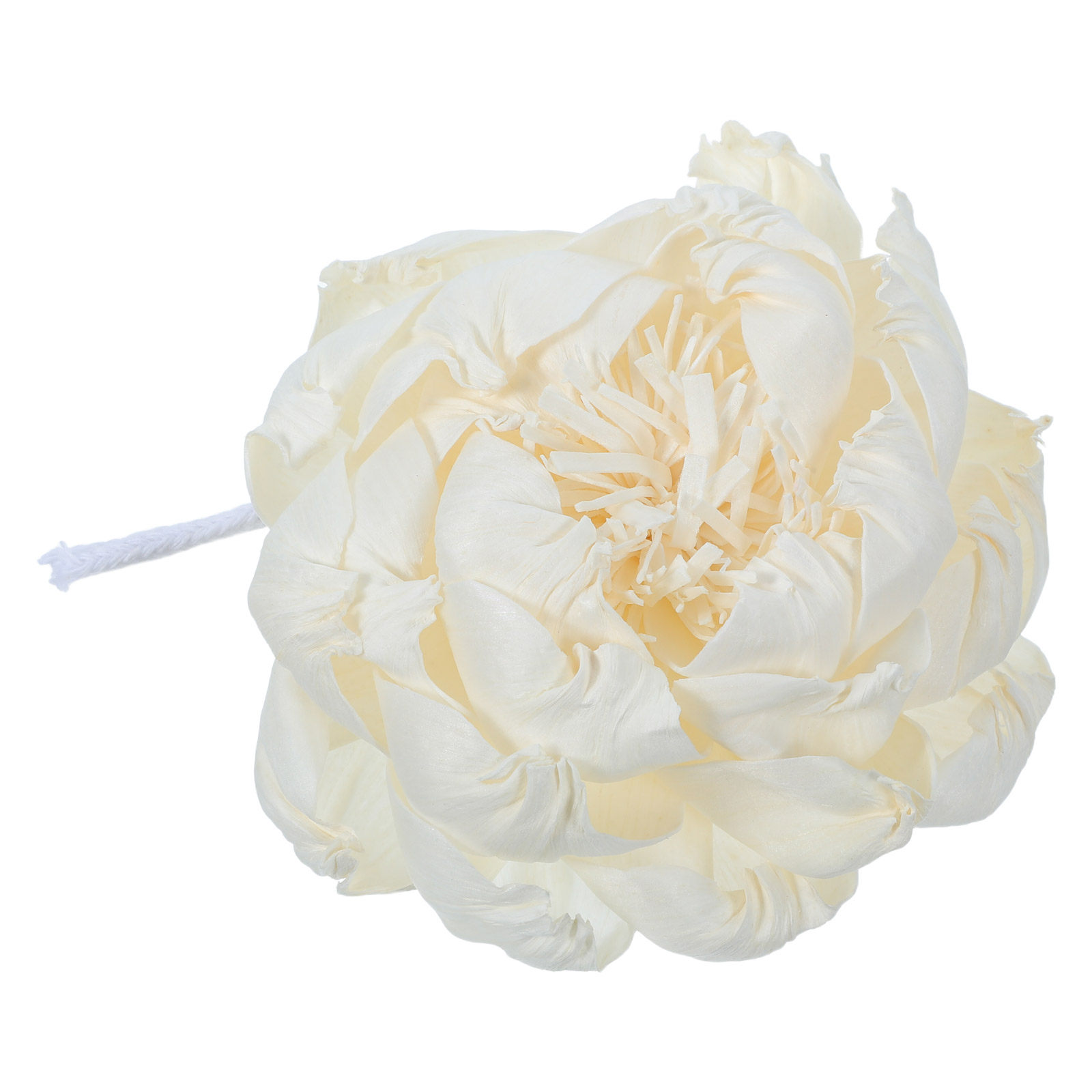 Diffuseur de parfum tête de pi - Home Fragrance Essential Oils avis et prix