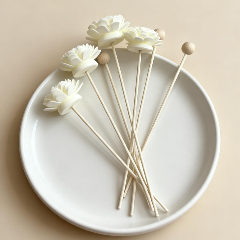 Lot de 10 bâtonnets diffuseurs - Reed Diffuser Set avis et prix