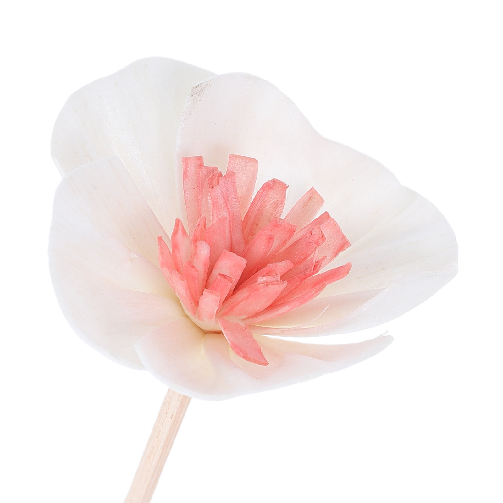 10 bâtonnets noirs pour diffus - Home Fragrance Essential Oils avis et prix
