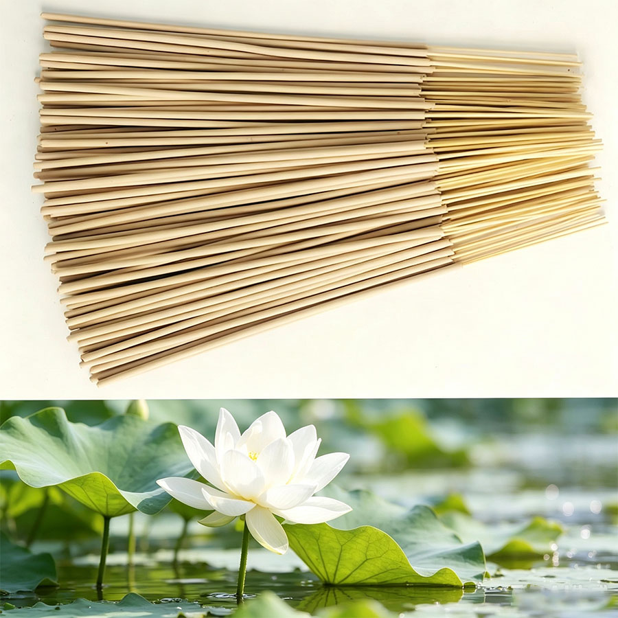 20/60/100/160/220 pièces de pr - Home Fragrance White Lotus avis et prix