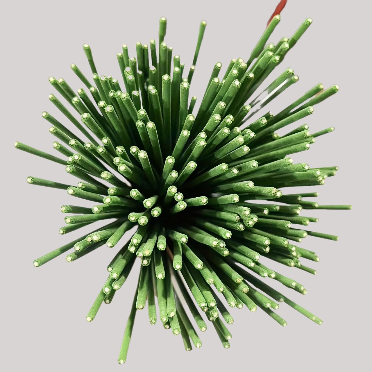 Bâtons de diffuseur de roseaux - Reed Diffuser Set avis et prix